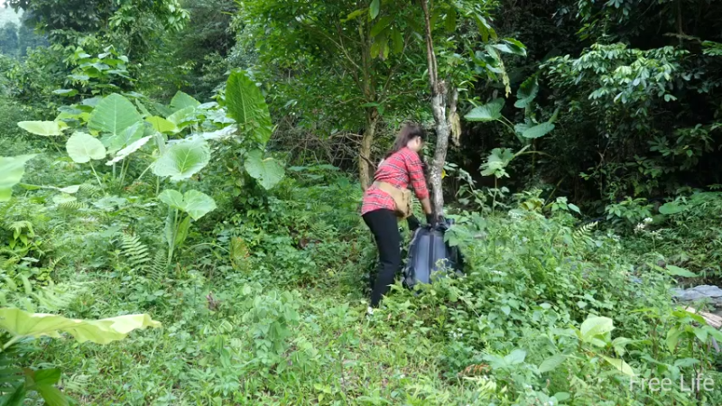更新1季必须吃点新鲜的(2)深入荒野隐居修仙,建设世外桃源投个币吧