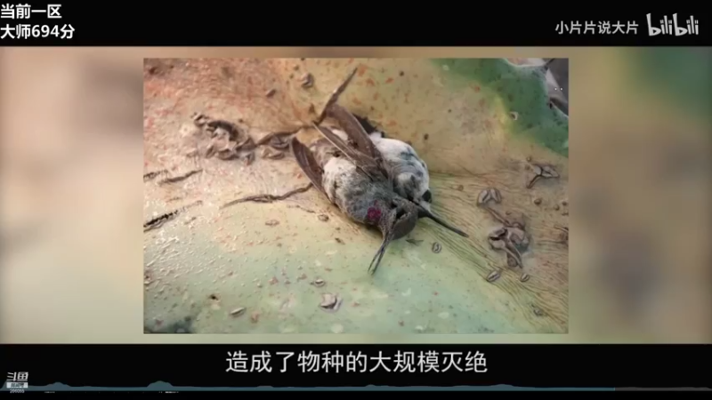 【2021-09-28 19点场】萌面酥：和kane双排上大师冲冲冲(#^.^#)