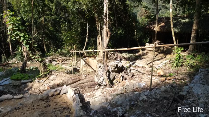 更新 我在深山建厨房(6)深入荒野隐居修仙,建设世外桃源投个币吧
