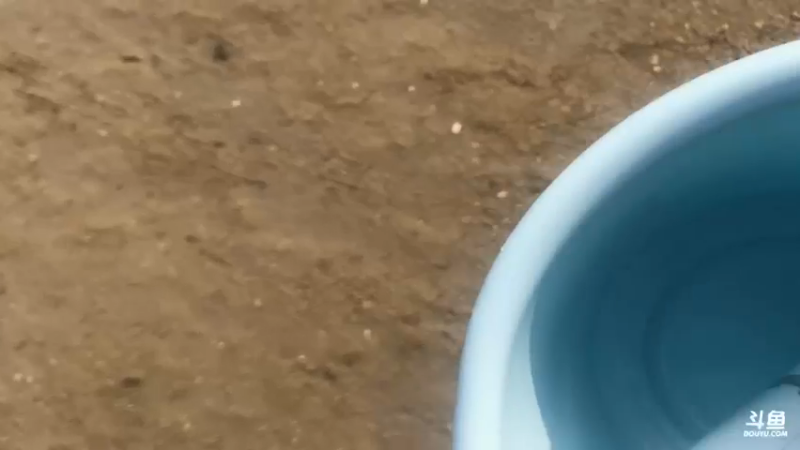 【2021-09-28 15点场】解说TH：TH:开局一把刀，装备全靠吹