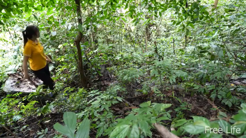 更新1季种点菜住下来(4)深入荒野隐居修仙,建设世外桃源投个币吧