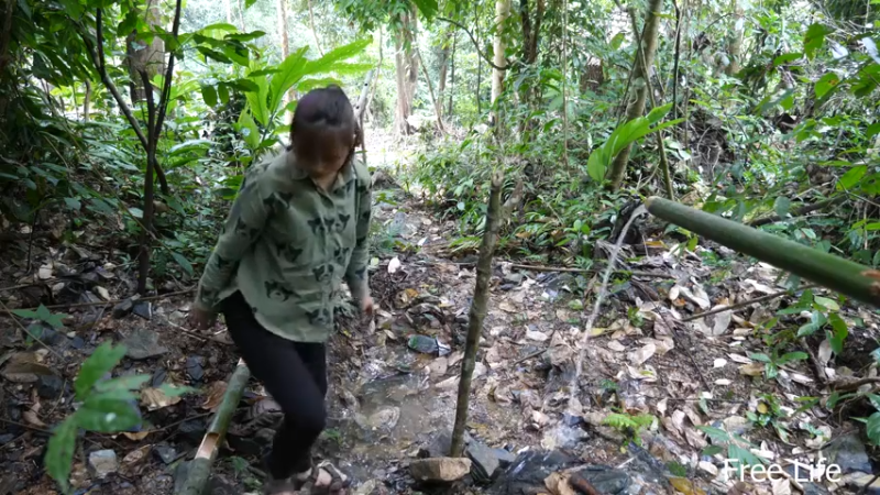 更新有水管了(14)深入荒野隐居修仙,建设世外桃源投个币吧
