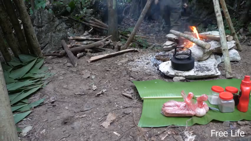 更新 给狗狗搭建狗屋(25)深入荒野隐居修仙,建设世外桃源投个币吧