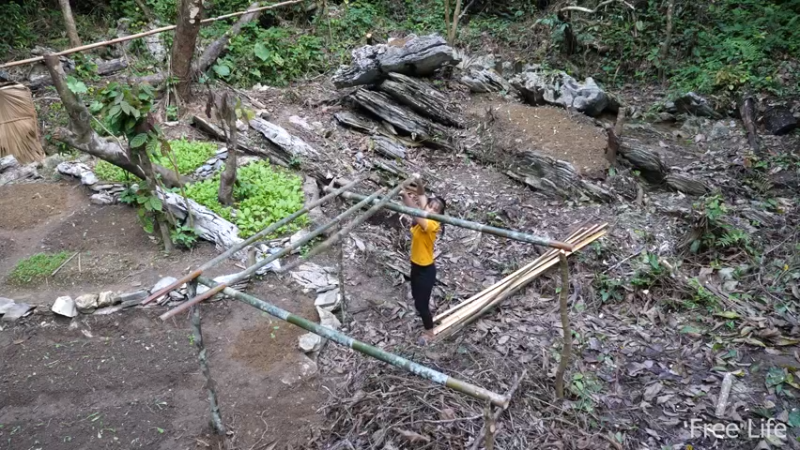 更新1季深山的菜园(10)深入荒野隐居修仙,建设世外桃源投个币吧