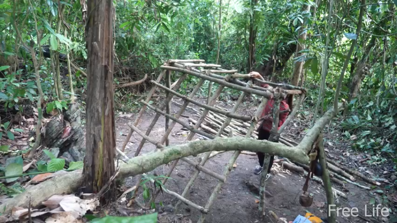 更新1季临时营地(8)深入荒野隐居修仙,建设世外桃源投个币吧