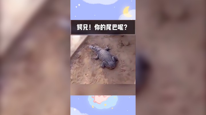 搞笑视频
