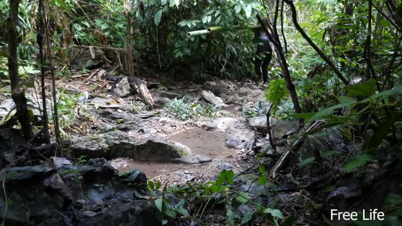 更新有水管了(11)深入荒野隐居修仙,建设世外桃源投个币吧