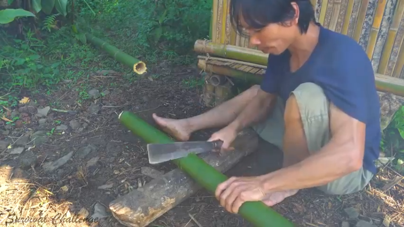 【野生放送】竹制桌椅 热带雨林和我的家