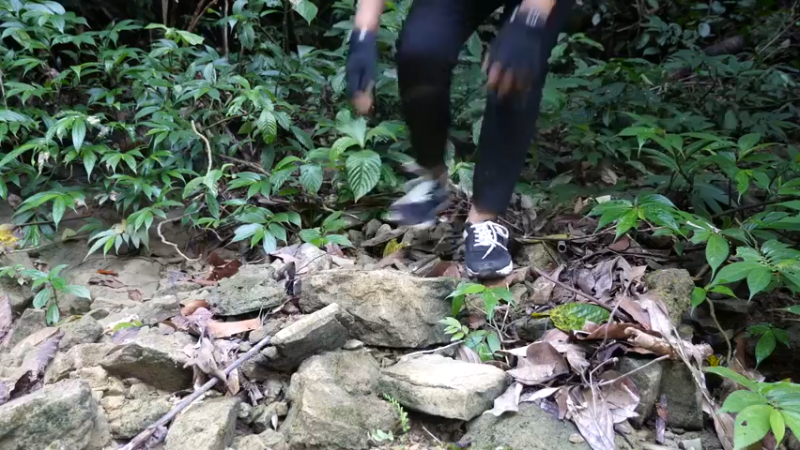 更新1季带进山里的食物(6)深入荒野隐居修仙,建设世外桃源投个币吧