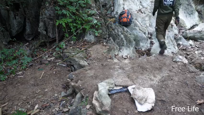 更新 给狗狗搭建狗屋(17)深入荒野隐居修仙,建设世外桃源投个币吧