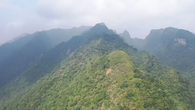 更新1季带进山里的食物(1)深入荒野隐居修仙,建设世外桃源投个币吧
