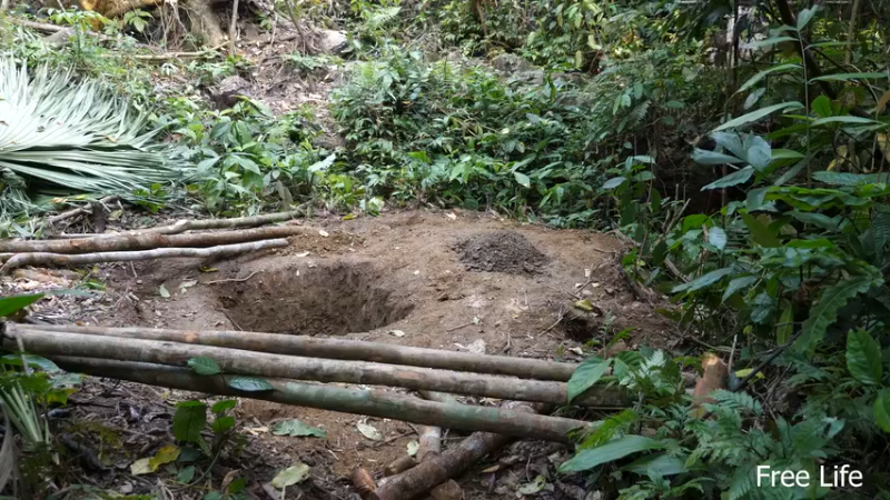 更新树wc(16)深入荒野隐居修仙,建设世外桃源投个币吧