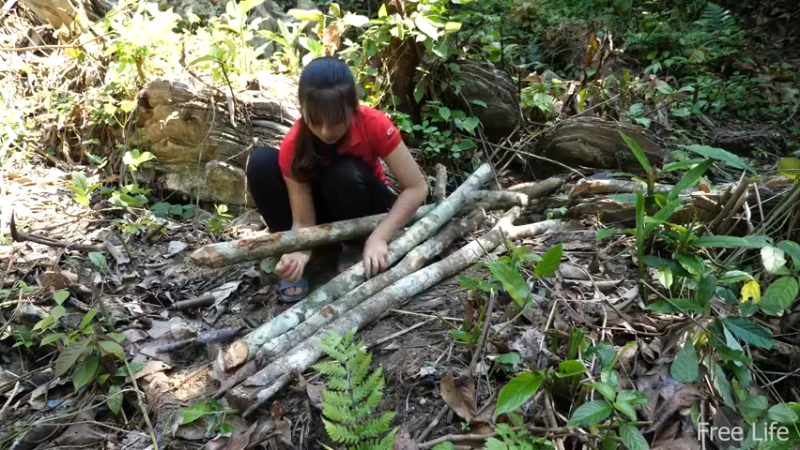 更新1季暂时还住临时小屋(2)深入荒野隐居修仙,建设世外桃源投个币吧