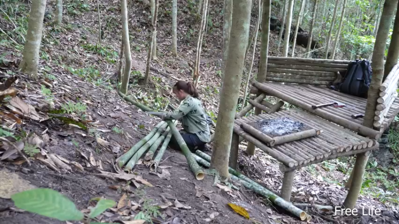 更新树屋(14)深入荒野隐居修仙,建设世外桃源投个币吧