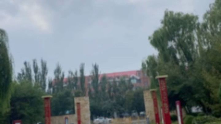 补发一下前日的清晨不够十个字