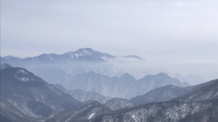 反正就是菜