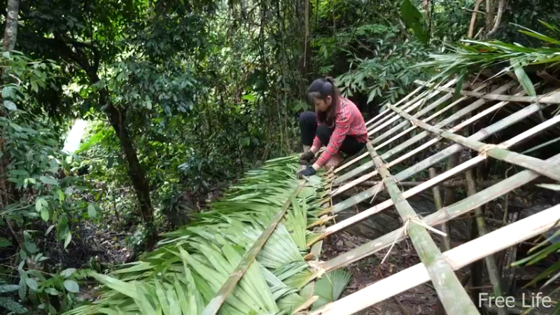 更新1季搭建安居小屋 就是这里吧！(21)深入荒野隐居修仙,建设世外桃源投个币吧