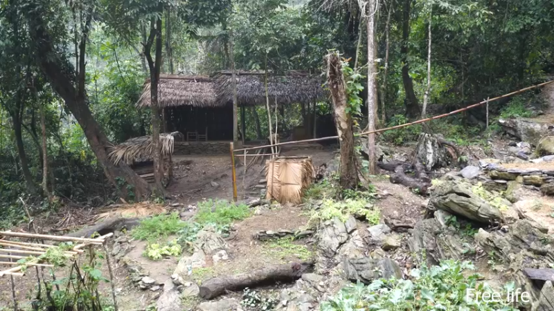 更新 餐桌(12)深入荒野隐居修仙,建设世外桃源投个币吧