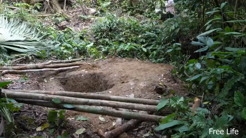 更新树wc(15)深入荒野隐居修仙,建设世外桃源投个币吧