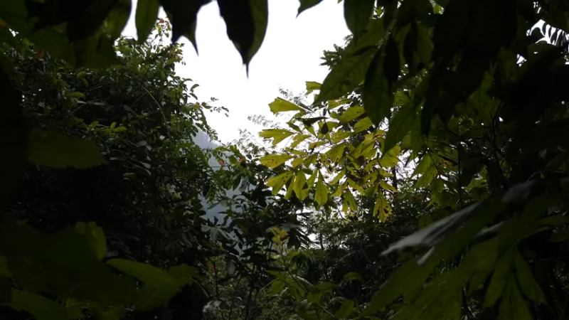 更新 接着弄小屋 (1)深入荒野隐居修仙,建设世外桃源投个币吧