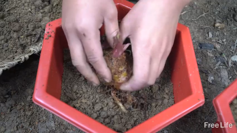 更新制作日用家居(5)深入荒野隐居修仙,建设世外桃源投个币吧