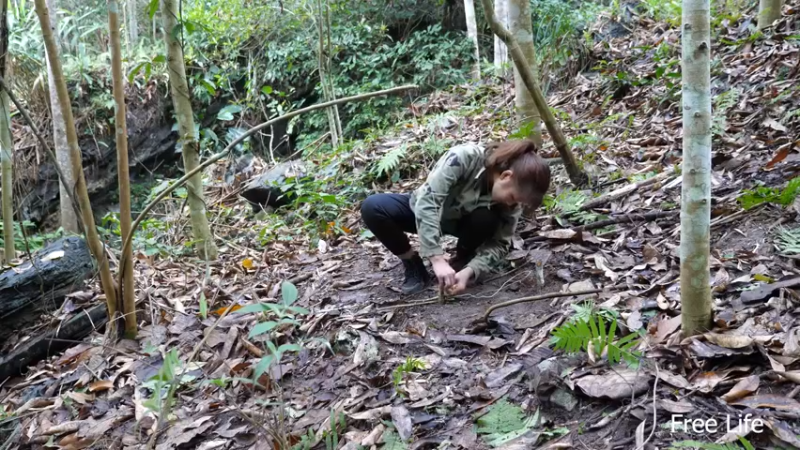 更新树屋(6)深入荒野隐居修仙,建设世外桃源投个币吧