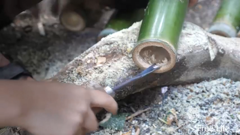 更新有水管了(9)深入荒野隐居修仙,建设世外桃源投个币吧