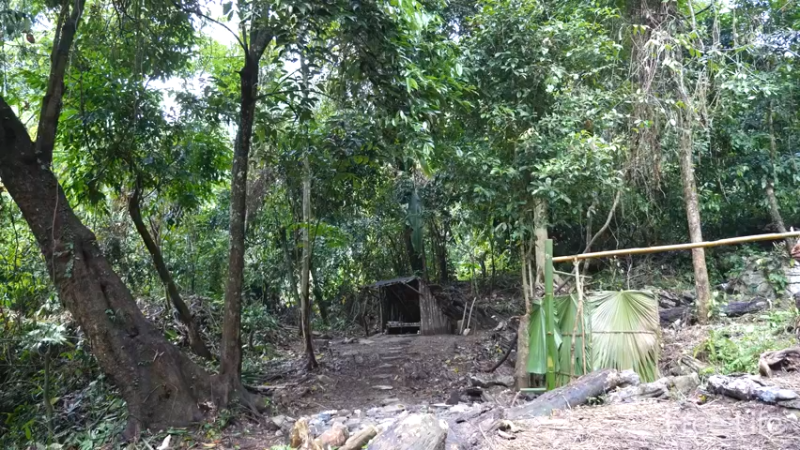更新1季种点菜住下来(1)深入荒野隐居修仙,建设世外桃源投个币吧