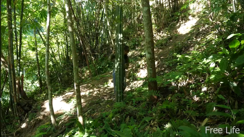 更新1季房间的墙壁和地板(7)深入荒野隐居修仙,建设世外桃源投个币吧