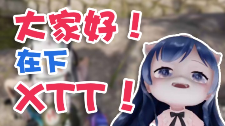 【一条小团团】大家好！在下XTT！