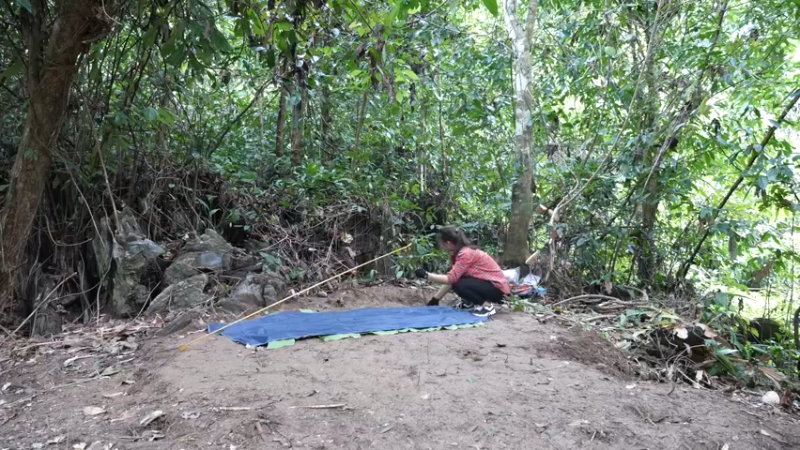 更新1季带进山里的食物(5)深入荒野隐居修仙,建设世外桃源投个币吧