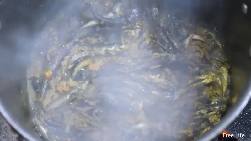 更新捕捉新鲜的鱼 制作传统鱼(13)深入荒野隐居修仙,建设世外桃源投个币吧