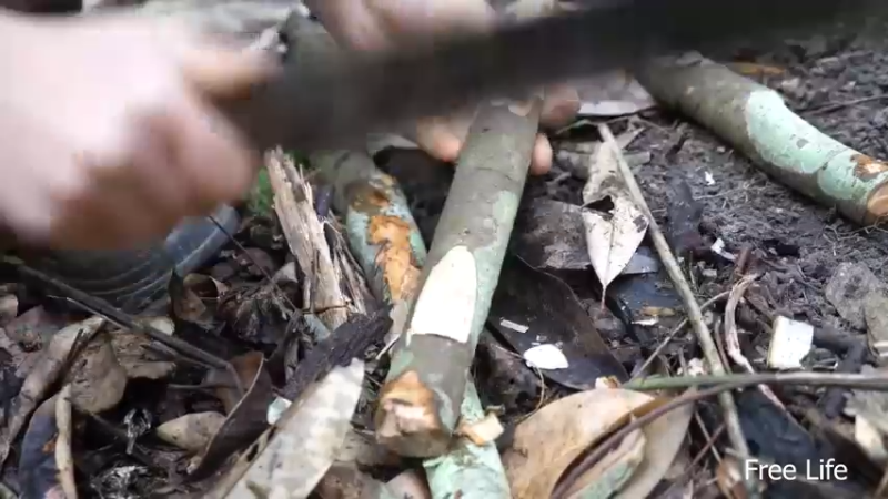 更新树屋(5)深入荒野隐居修仙,建设世外桃源投个币吧