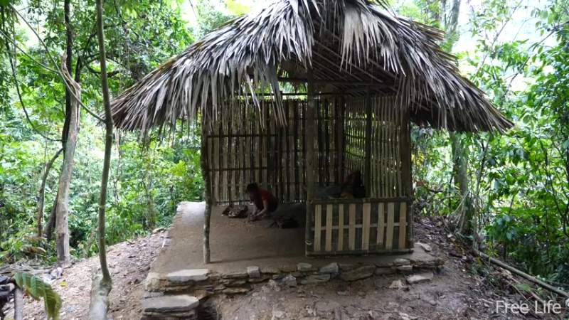 更新1季暂时还住临时小屋(8)深入荒野隐居修仙,建设世外桃源投个币吧