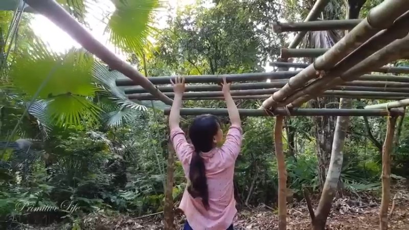 偏远边塞 云南妹子丛林之家(12)更新day5