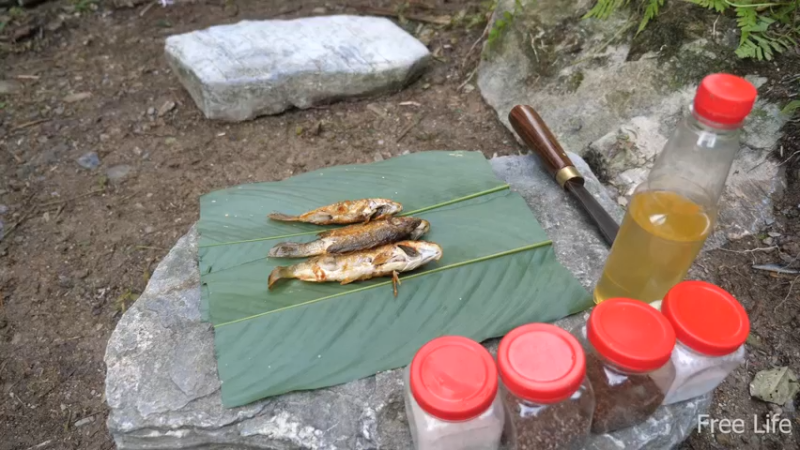 更新1季必须吃点新鲜的(15)深入荒野隐居修仙,建设世外桃源投个币吧