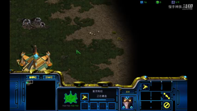 pvp水螅图xx跳隐刀2021-09-28