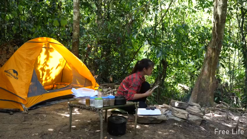 更新1季离家入山d的第一餐(5)深入荒野隐居修仙,建设世外桃源投个币吧