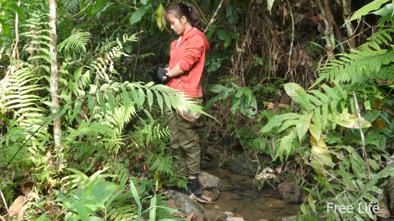 更新在山里度过节日(23)深入荒野隐居修仙,建设世外桃源投个币吧