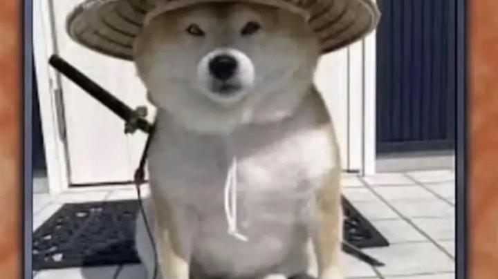 荒野大镖客