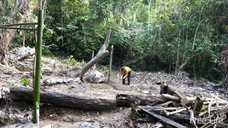 更新1季种点菜住下来(3)深入荒野隐居修仙,建设世外桃源投个币吧