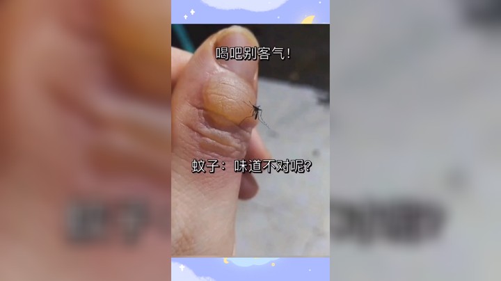 搞笑视频