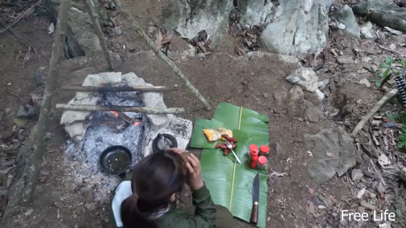 更新 给狗狗搭建狗屋(27)深入荒野隐居修仙,建设世外桃源投个币吧