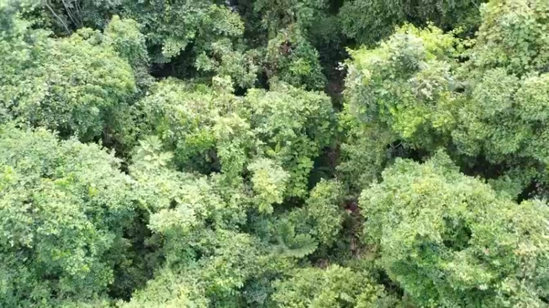 更新1季在小溪变选择活水(18)深入荒野隐居修仙,建设世外桃源投个币吧