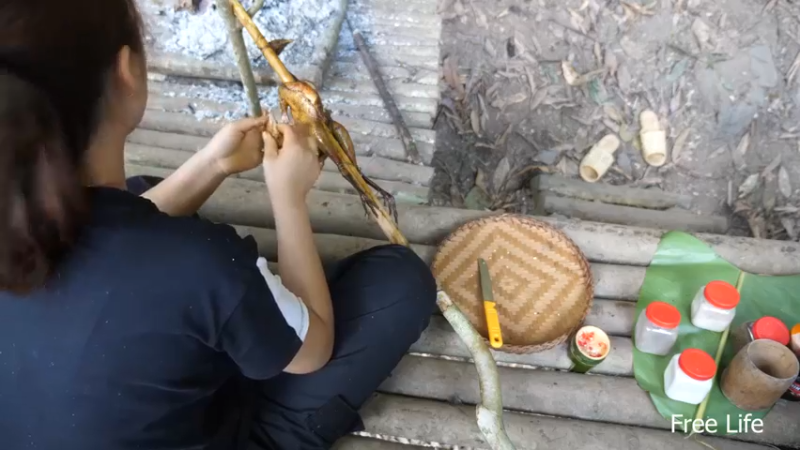 更新树屋(25)深入荒野隐居修仙,建设世外桃源投个币吧