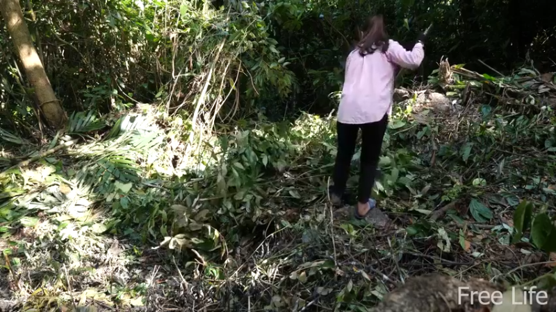 更新1季 收拾新住所 桃花源(2)深入荒野隐居修仙,建设世外桃源投个币吧