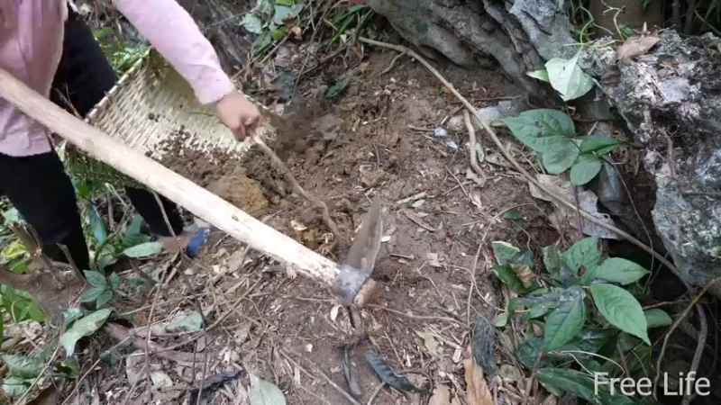 更新1季 收拾新住所 桃花源(14)深入荒野隐居修仙,建设世外桃源投个币吧