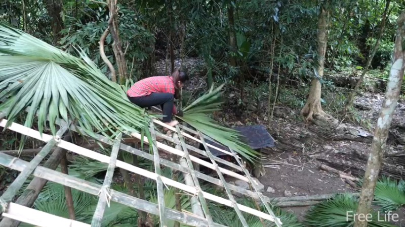 更新1季搭建安居小屋 就是这里吧！(20)深入荒野隐居修仙,建设世外桃源投个币吧