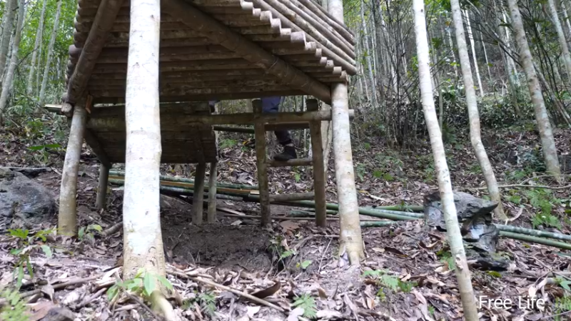 更新树屋(15)深入荒野隐居修仙,建设世外桃源投个币吧