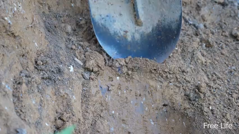 更新 我在深山建厨房(5)深入荒野隐居修仙,建设世外桃源投个币吧